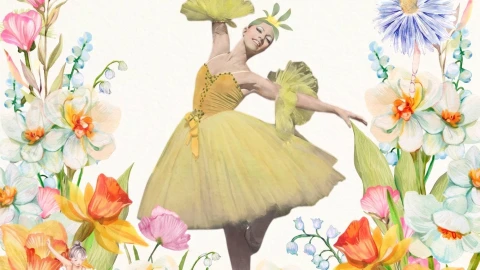 Spring Expressions
